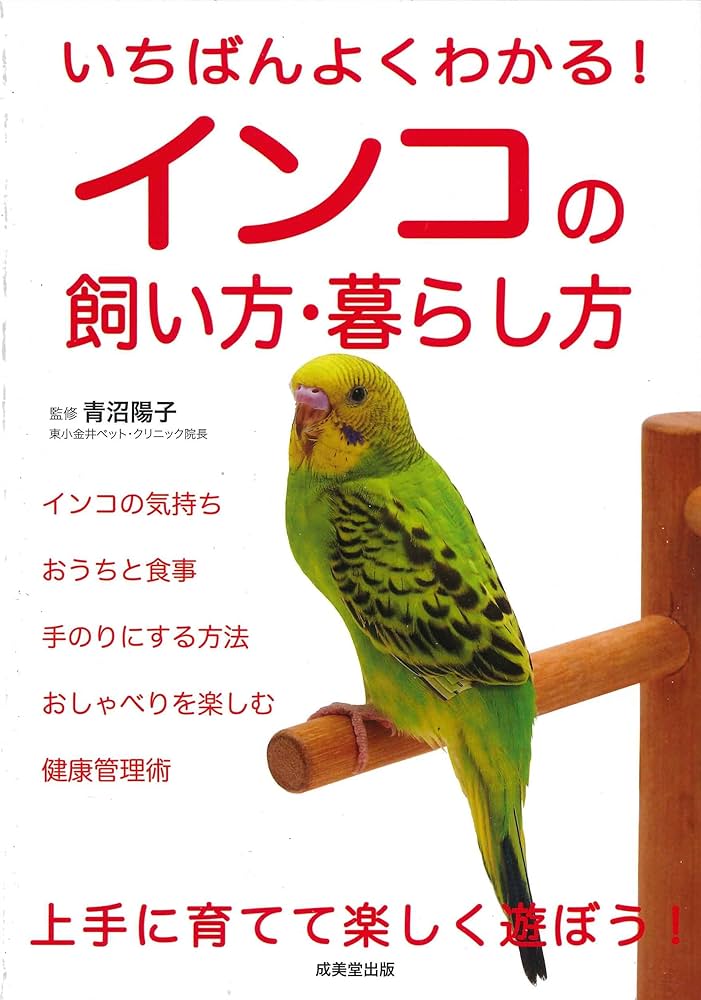 LOVE BY e.m.☆青インコ&緑インコのリング☆10号美品 楽天市場】ぬいぐるみ セキセイインコ 鳥 インコ レインボー